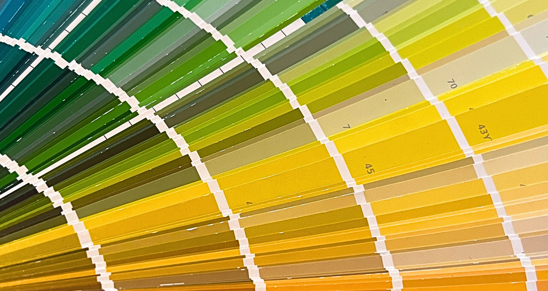 Check out our Color Consultation